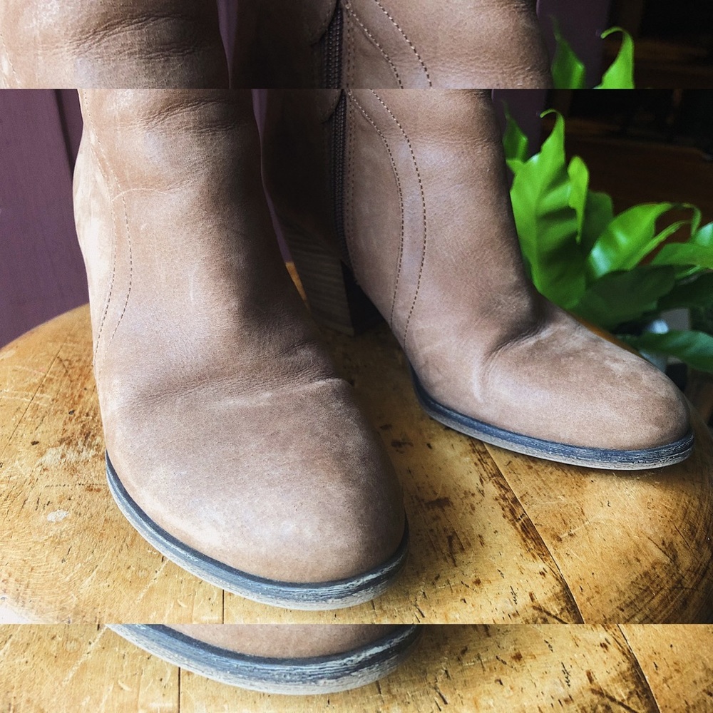 FRANCO SARTO | Suede Ankle Boots - Picture 4 of 6